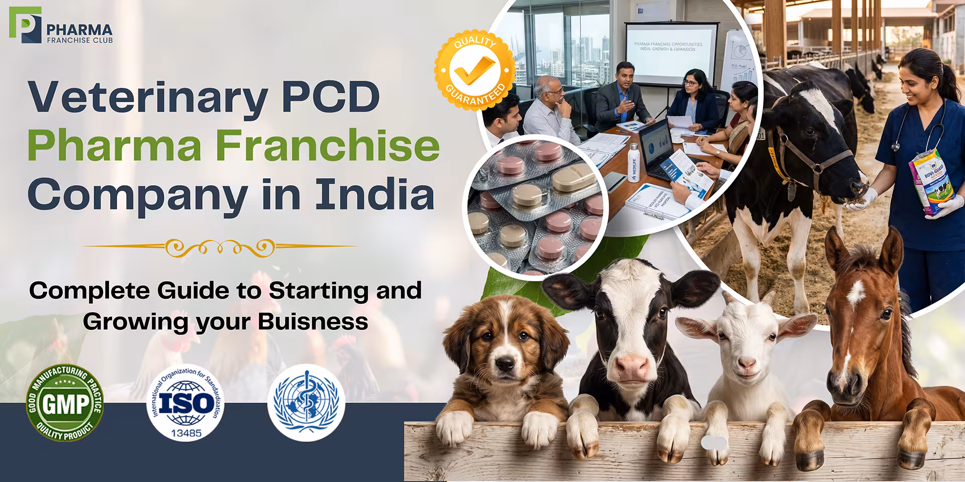 Veterinary PCD Pharma Franchise Company
